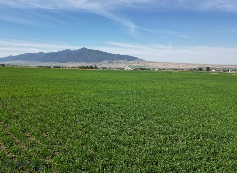 Tbd Mill Street Property Photo 8