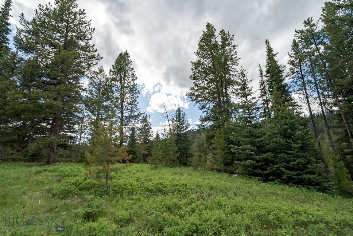 Lot 31 Colters Run Loop Property Photo 2