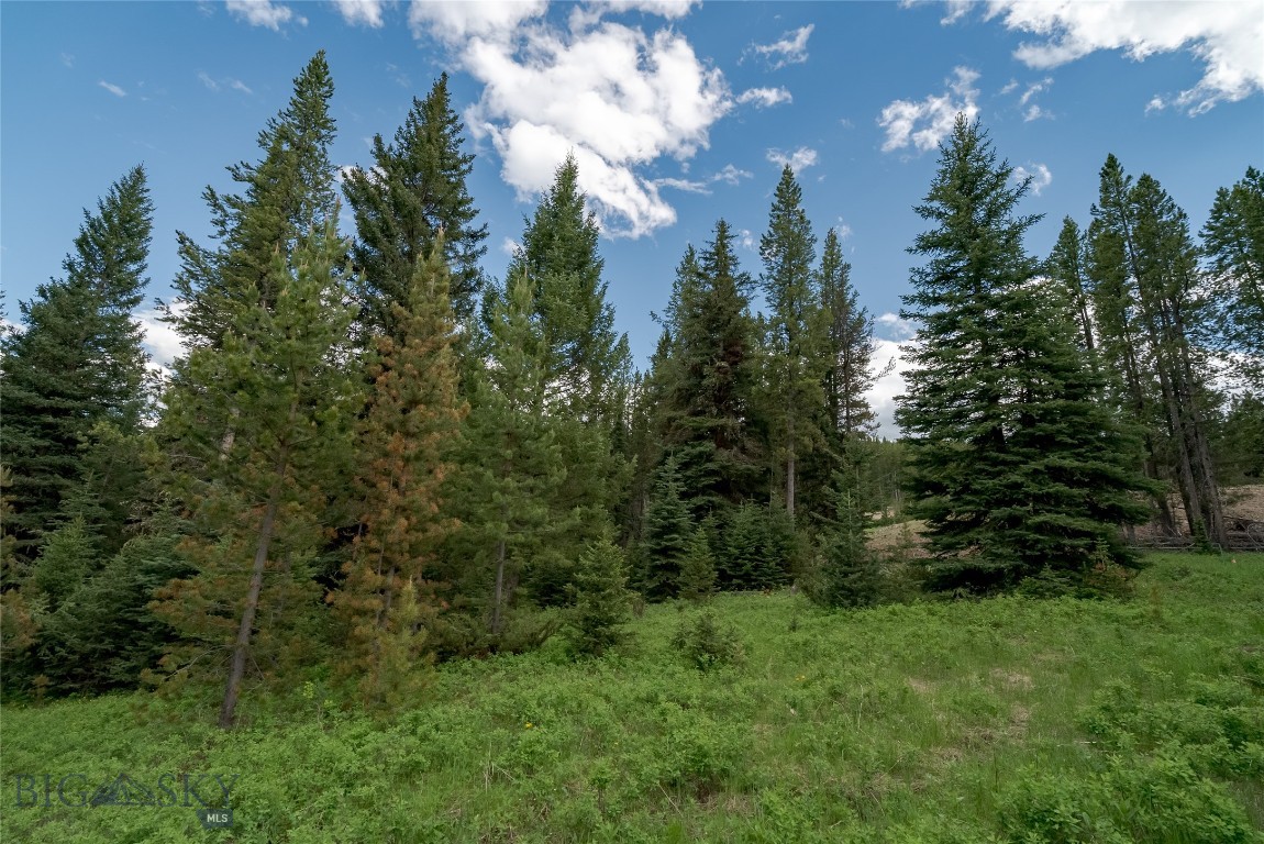 Lot 31 Colters Run Loop Property Photo 3