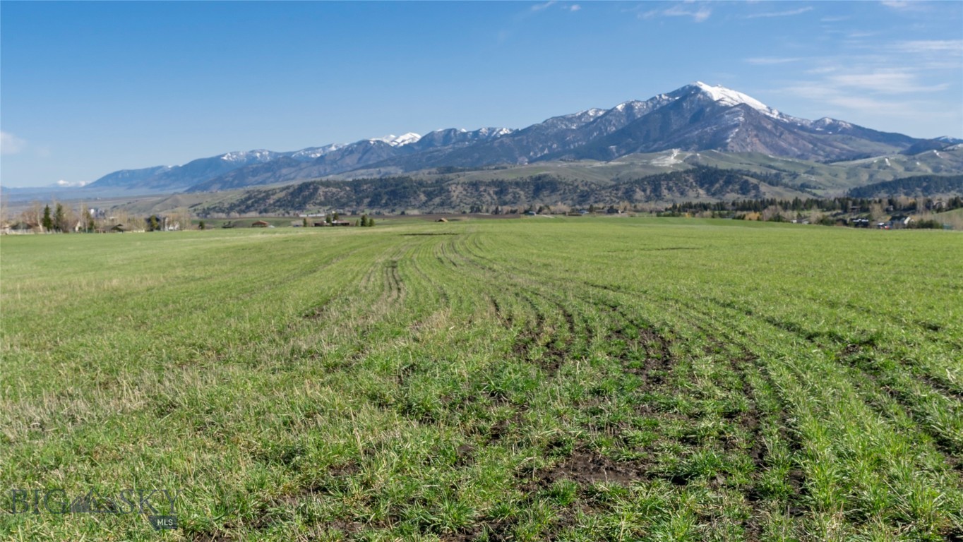 Tbd Lot 33 Boreal Way Property Photo 10
