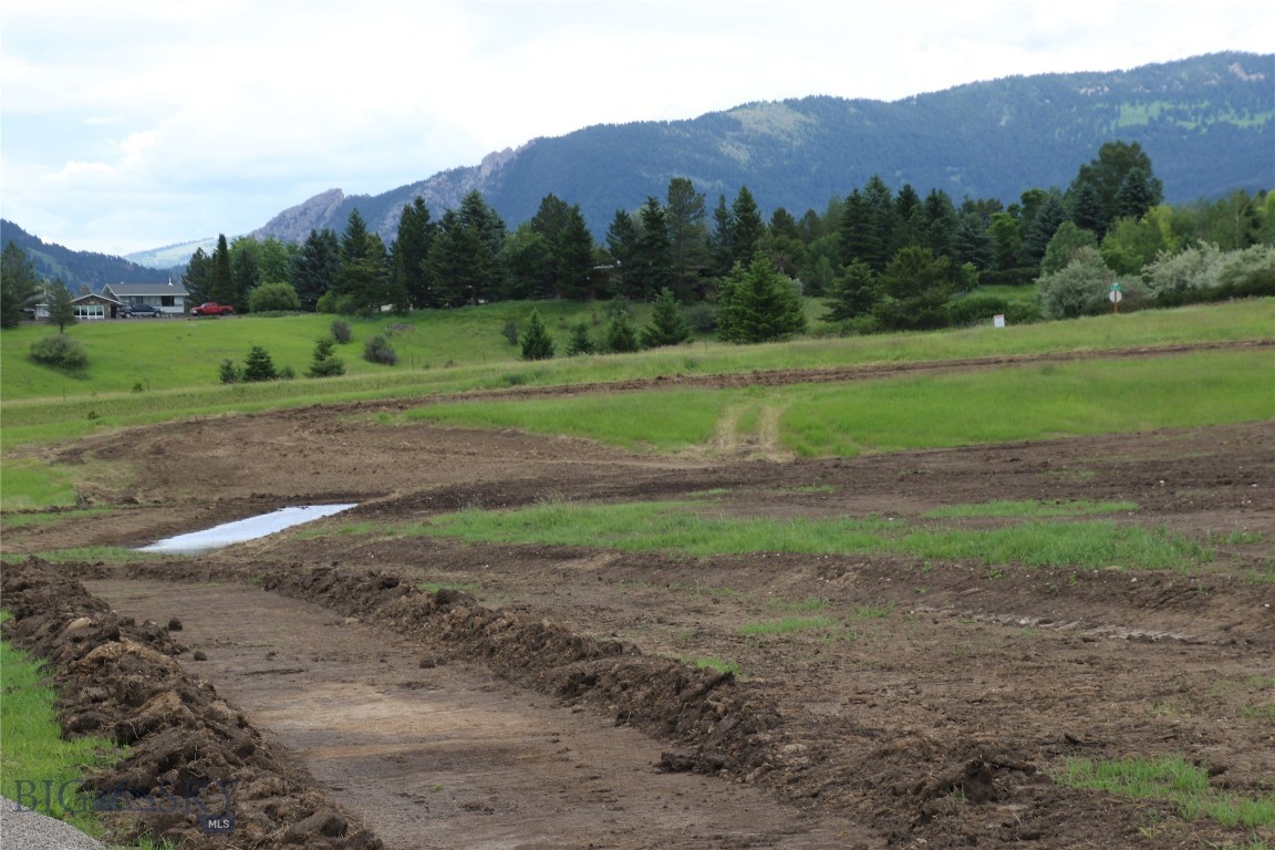 Tbd Lot 33 Boreal Way Property Photo 15