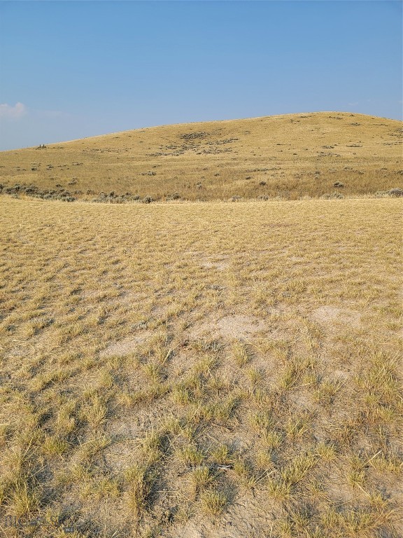 193 Williams Property Photo 1