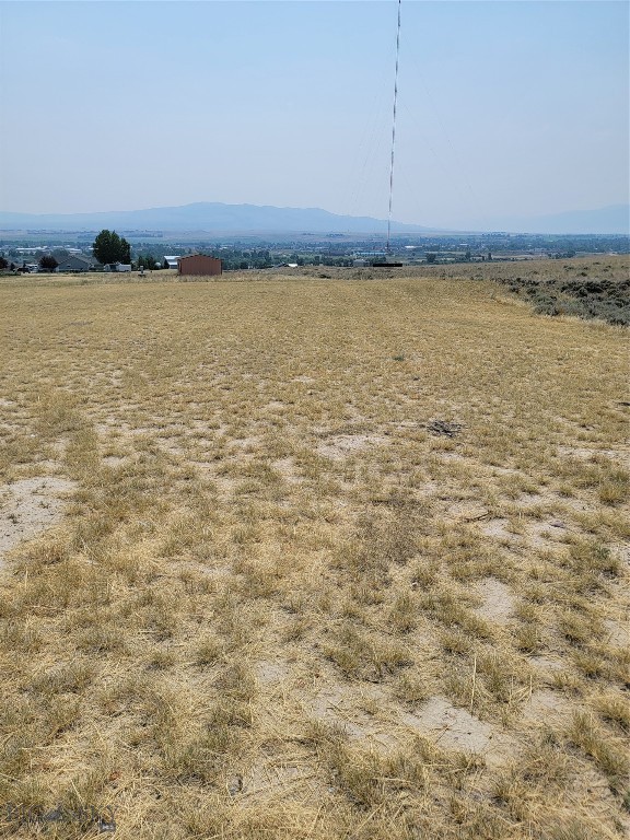 193 Williams Property Photo 4