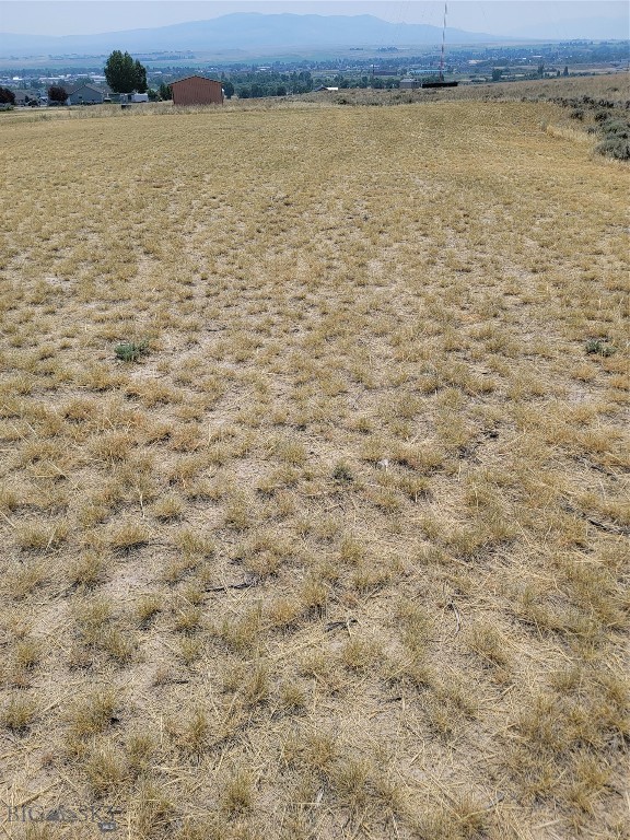 193 Williams Property Photo 7