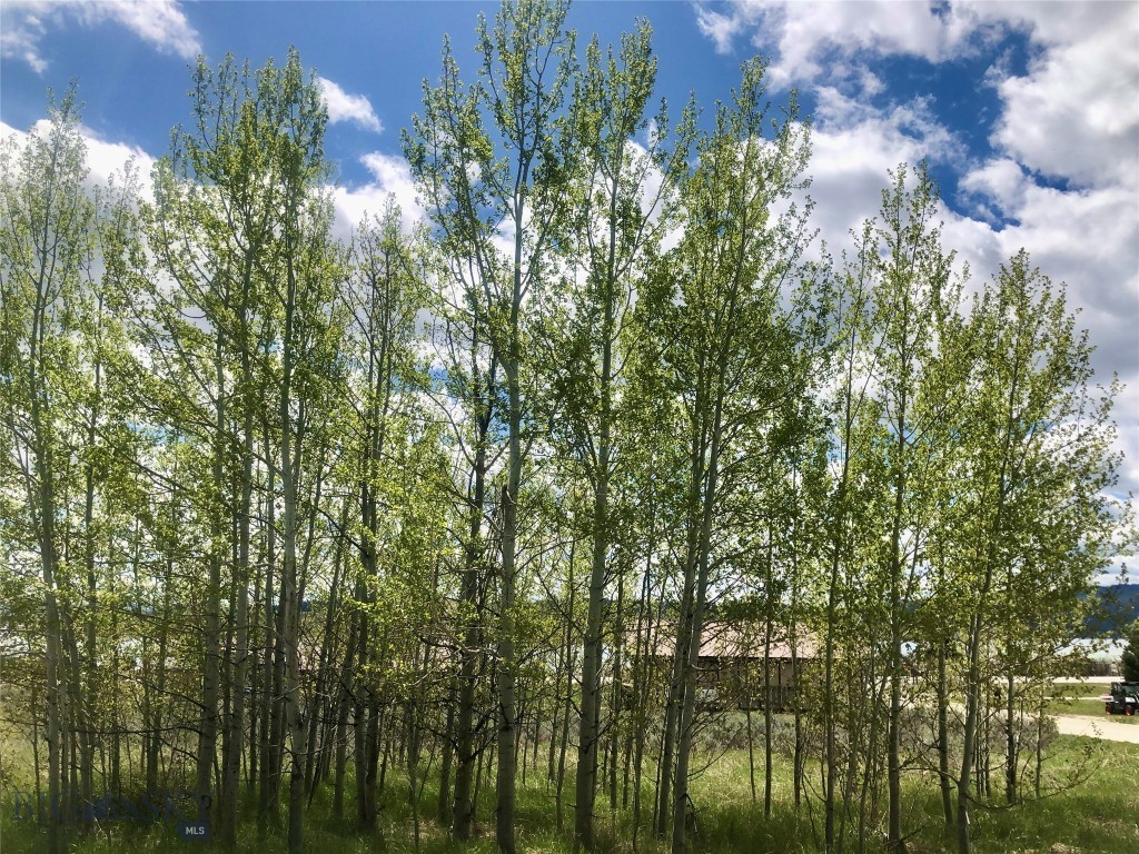 22 Hebgen Mountain Property Photo 4