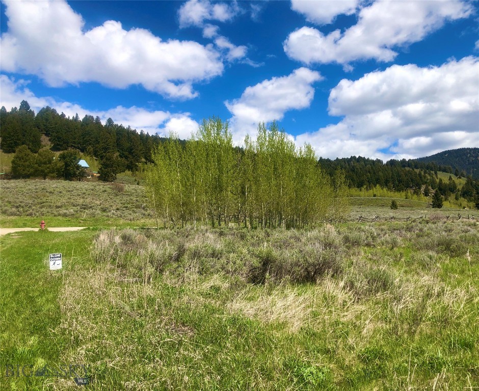 22 Hebgen Mountain Property Photo 10