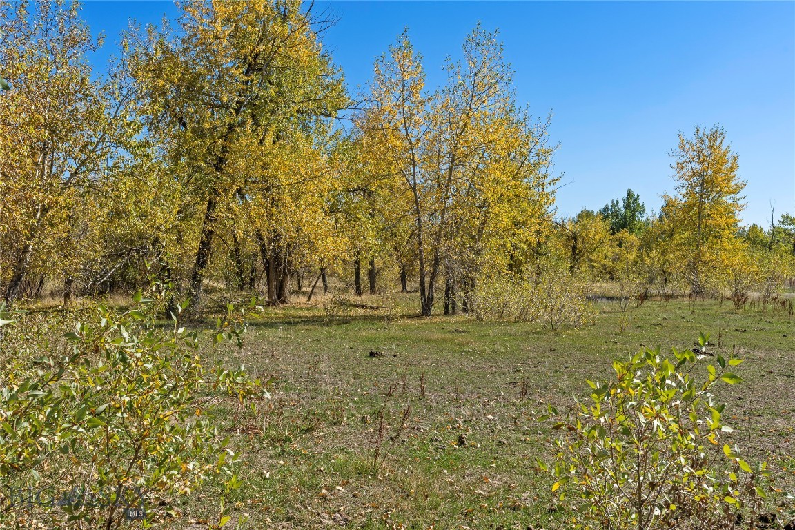 Tbd Elk Lane Property Photo 3