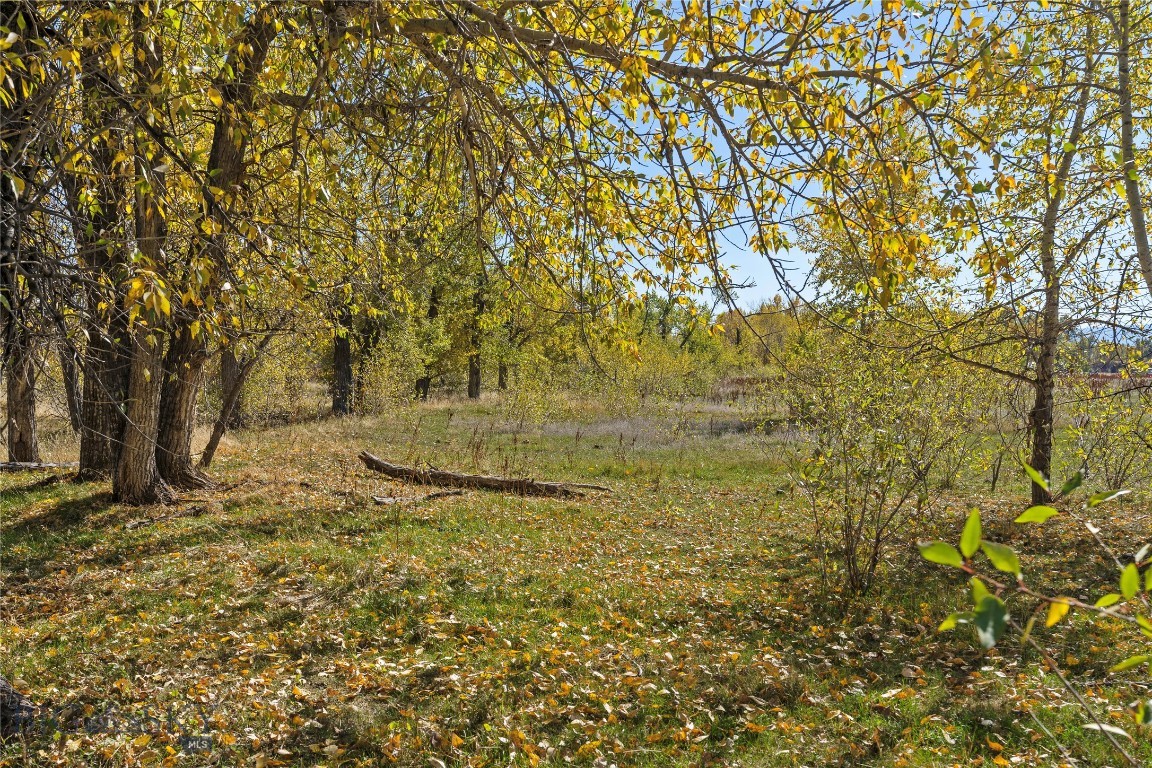 Tbd Elk Lane Property Photo 4