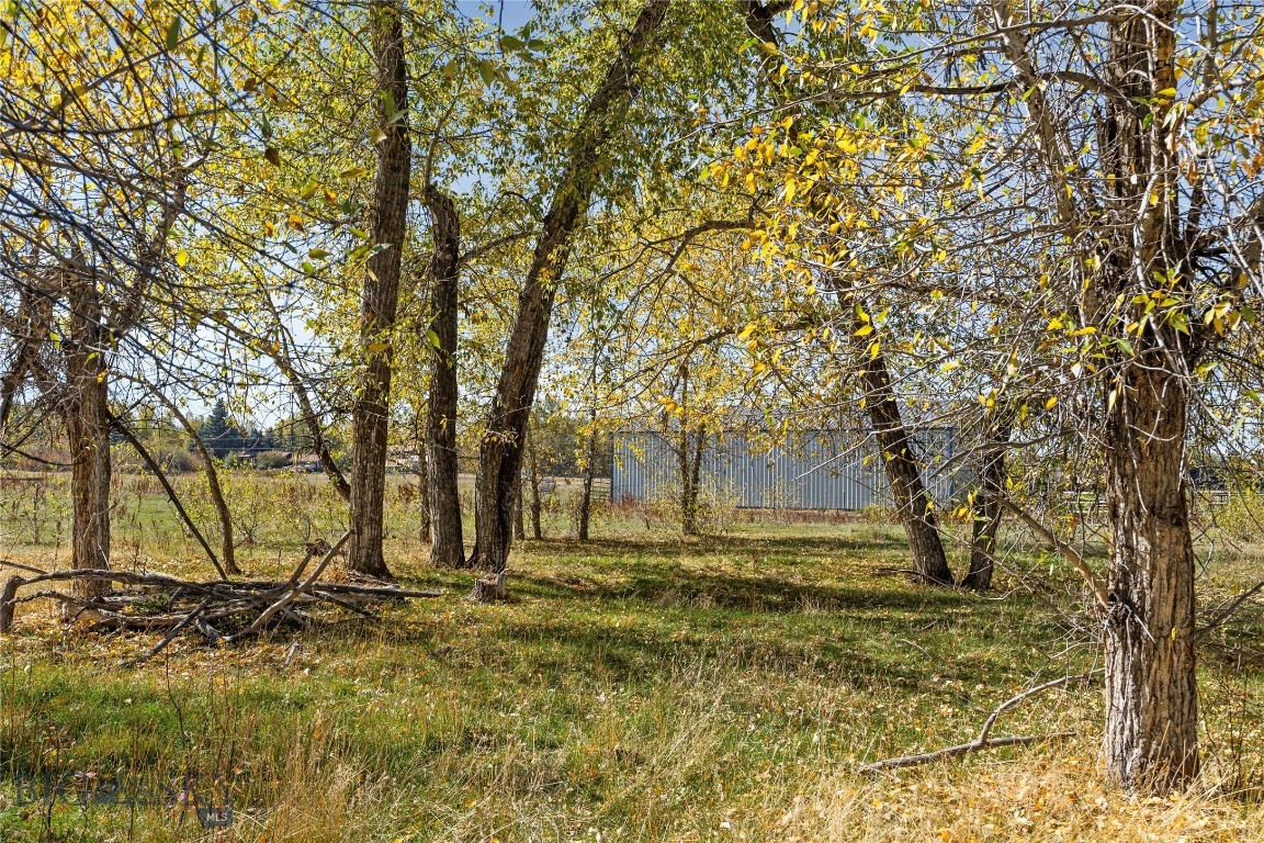 Tbd Elk Lane Property Photo 5