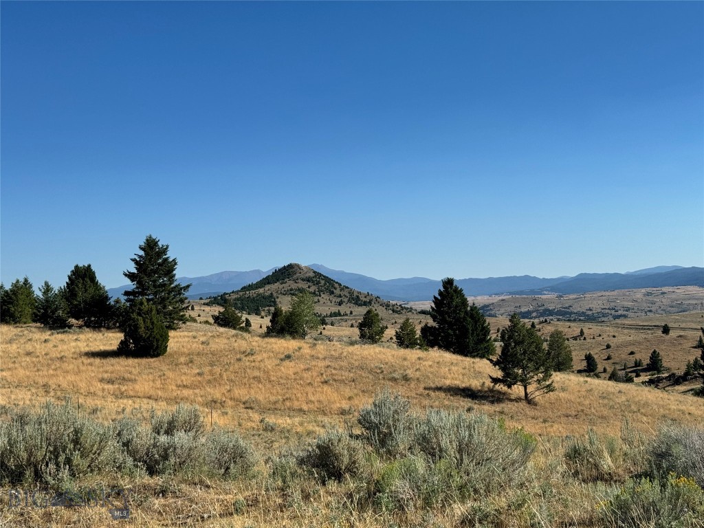 The Damon Property Photo 10