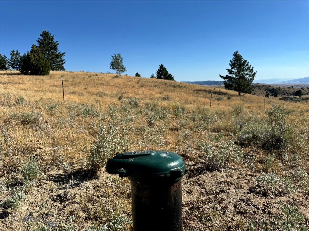 The Damon Property Photo 12