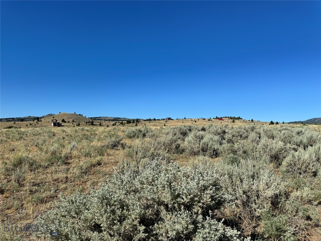 The Damon Property Photo 17