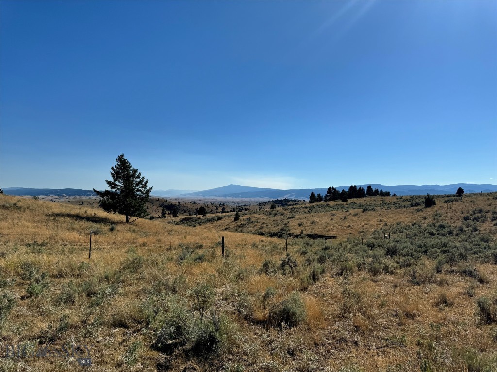 The Damon Property Photo 19