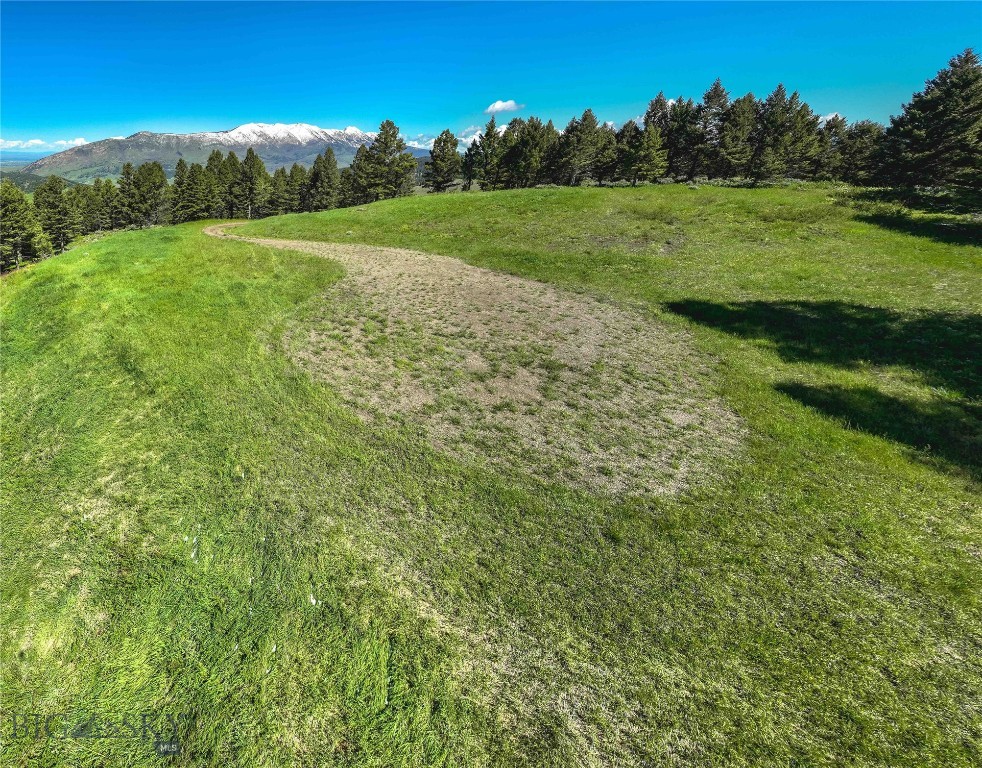 Ranch 3 North Pass Ranches Property Photo 6