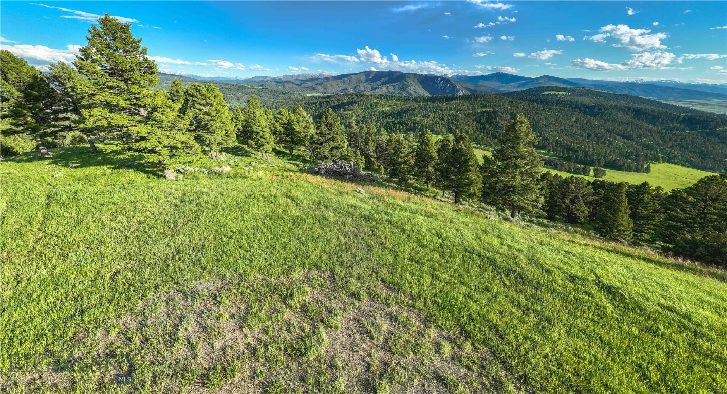 Ranch 3 North Pass Ranches Property Photo 7