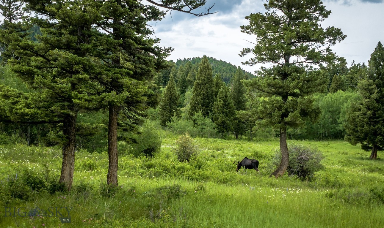 Ranch 3 North Pass Ranches Property Photo 10