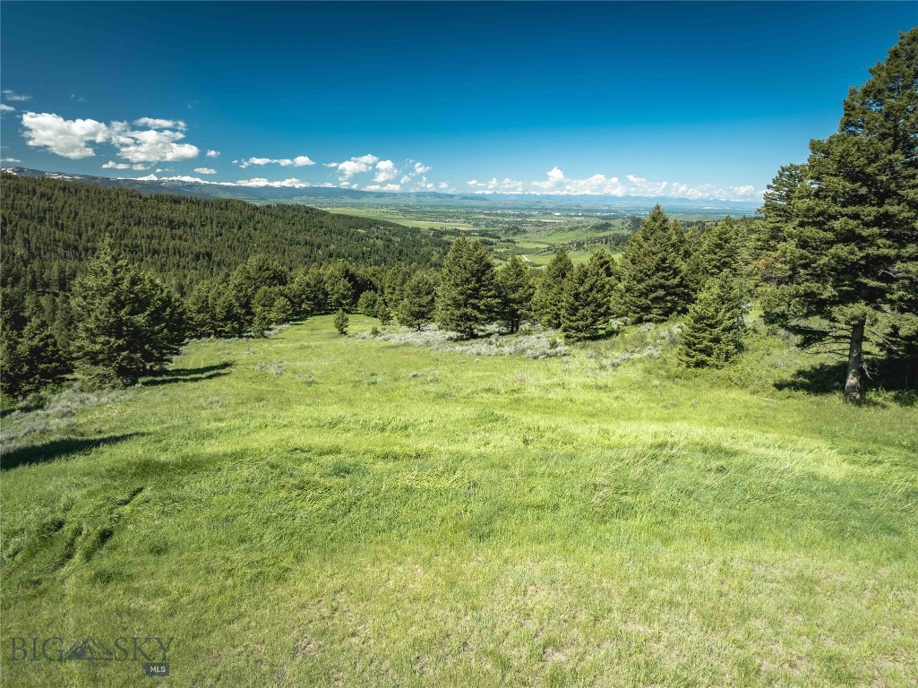 Ranch 5 North Pass Ranches Property Photo 5