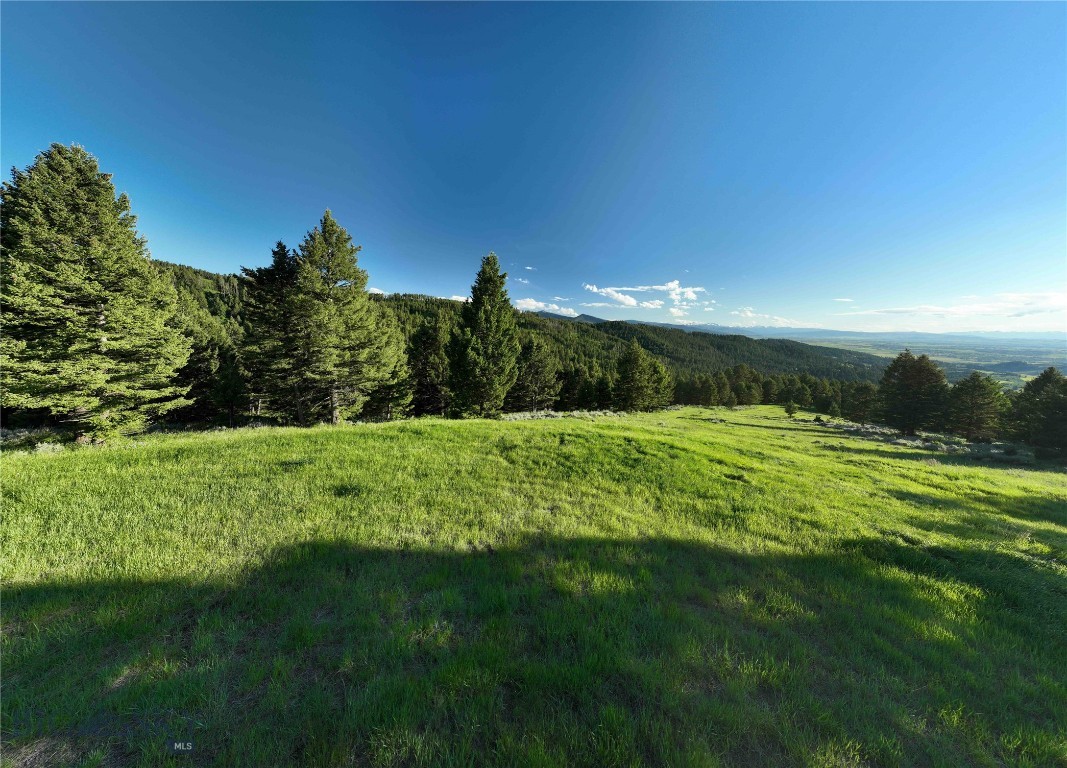 Ranch 5 North Pass Ranches Property Photo 6