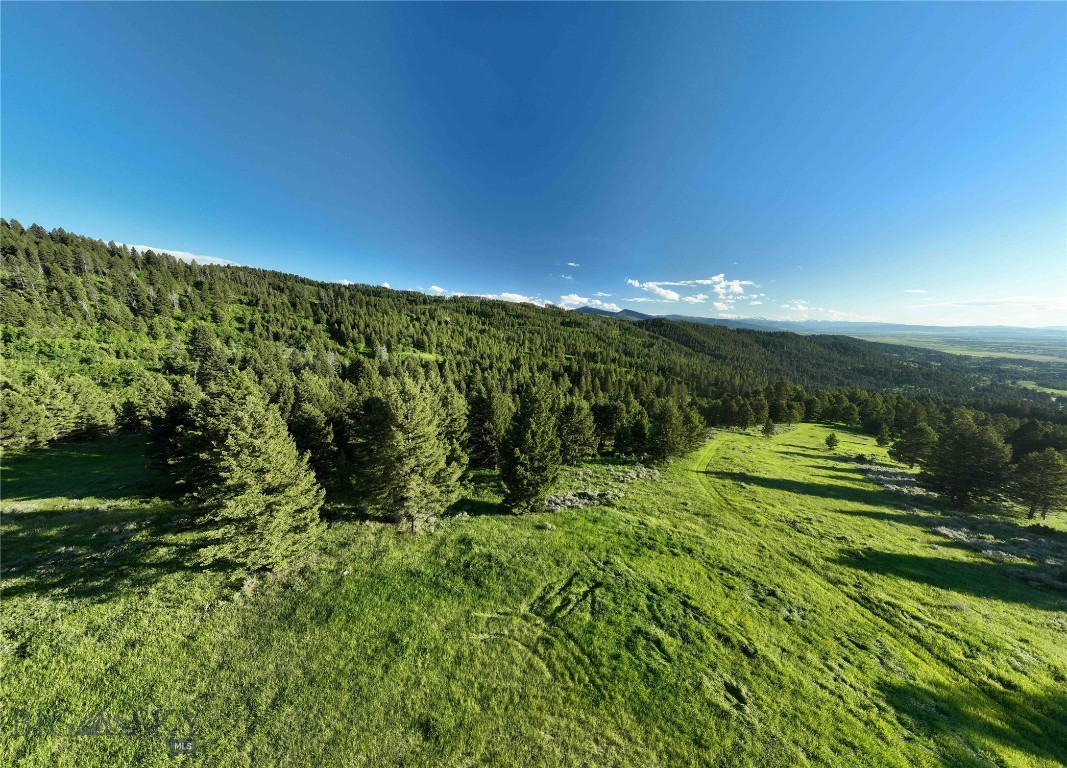 Ranch 5 North Pass Ranches Property Photo 7