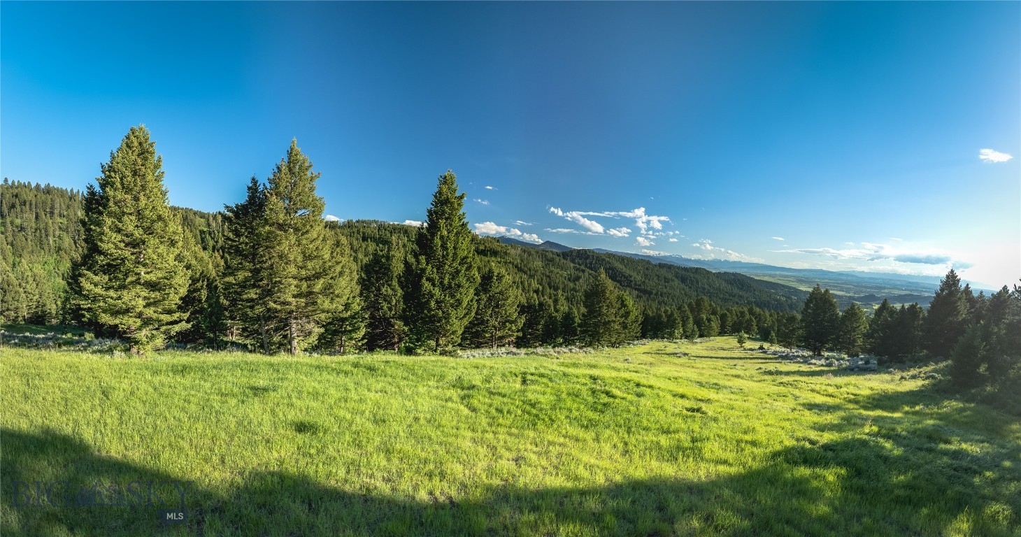 Ranch 5 North Pass Ranches Property Photo 8