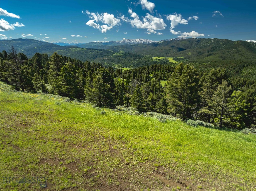 Ranch 2 North Pass Ranches Property Photo 3