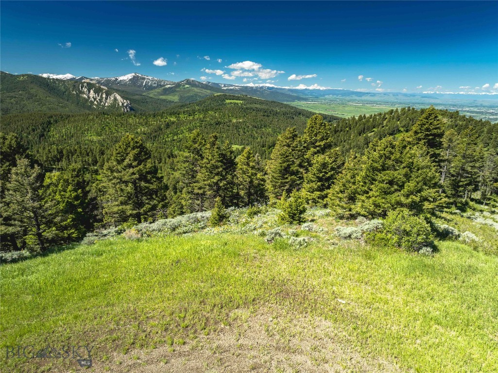 Ranch 2 North Pass Ranches Property Photo 4