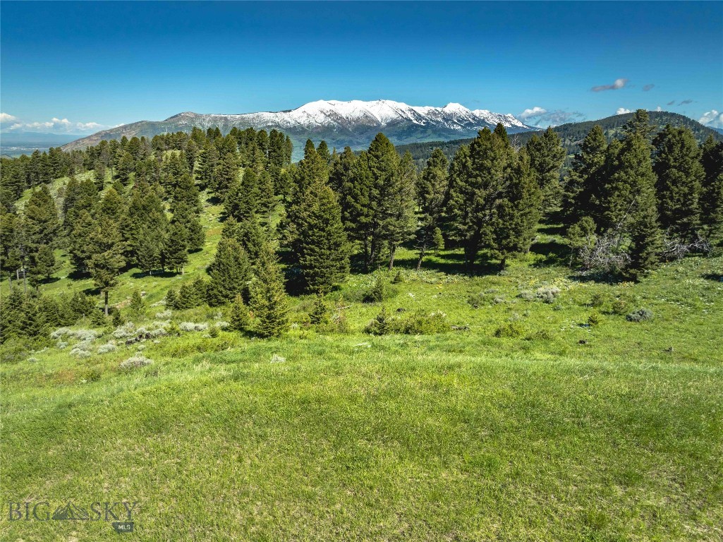 Ranch 2 North Pass Ranches Property Photo 5