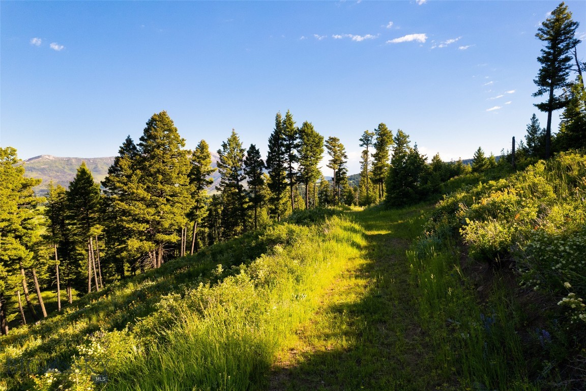 Ranch 2 North Pass Ranches Property Photo 14