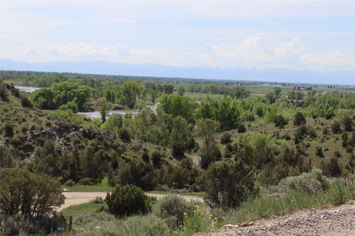 Lot 6 Horseshoe Gulch Road Property Photo 5
