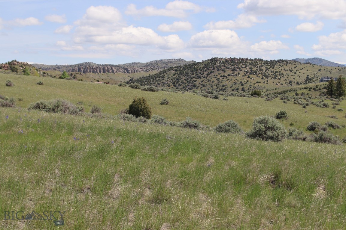 Lot 6 Horseshoe Gulch Road Property Photo 8
