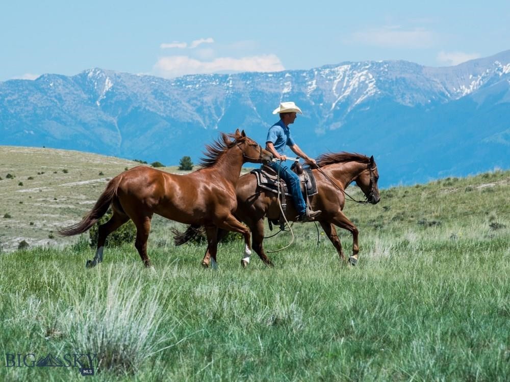 Lot 6 Horseshoe Gulch Road Property Photo 16