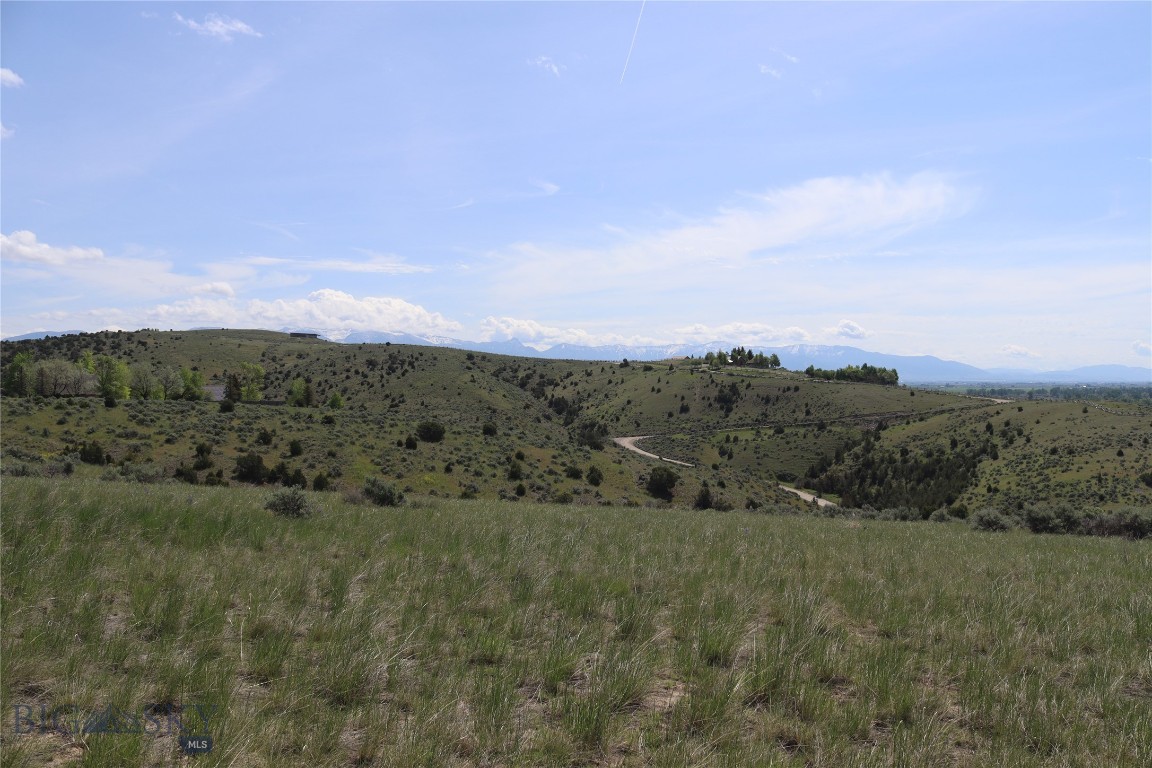 Lot 6 Horseshoe Gulch Road Property Photo 19