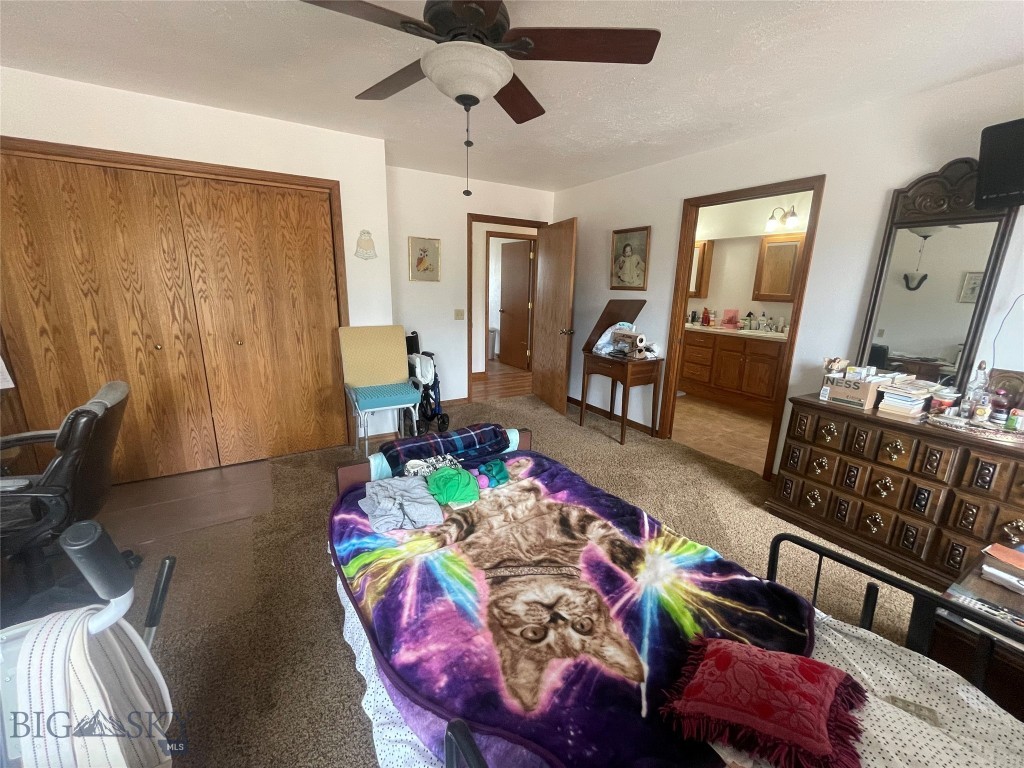 2900 Pioneer Mountain Scenic Byway Property Photo 26
