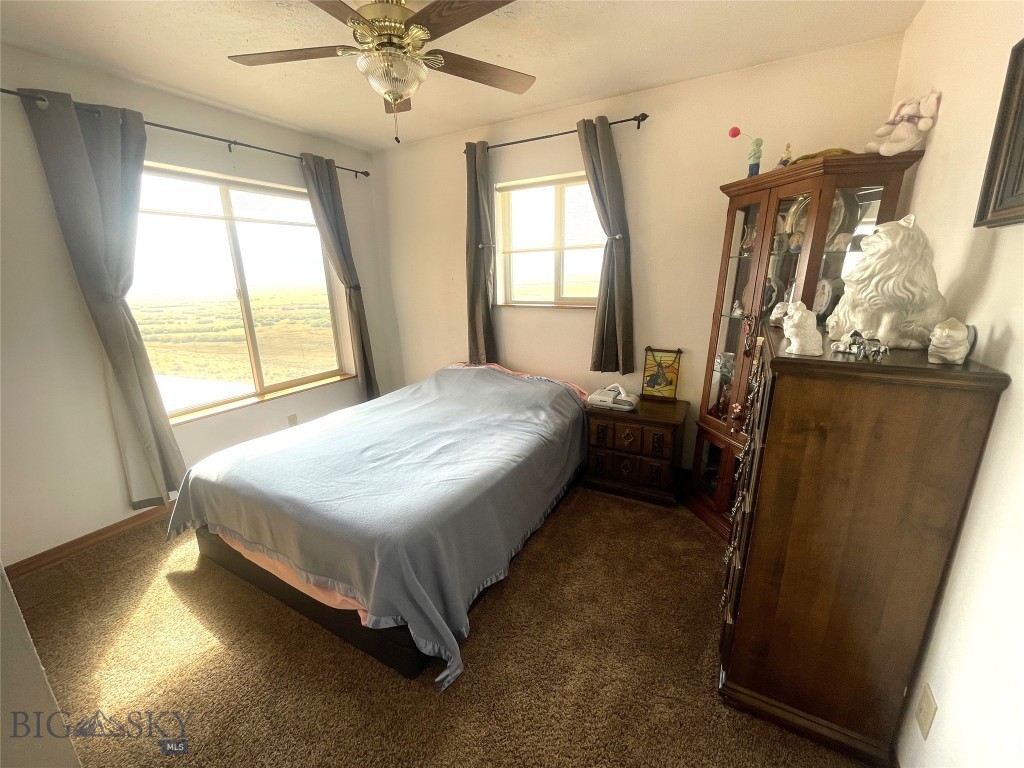 2900 Pioneer Mountain Scenic Byway Property Photo 29