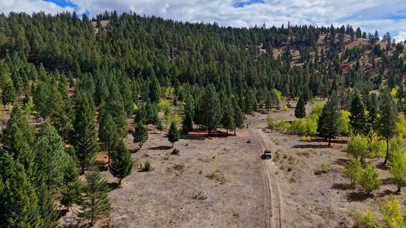 Nhn Bearmouth Ranch Property Photo 51