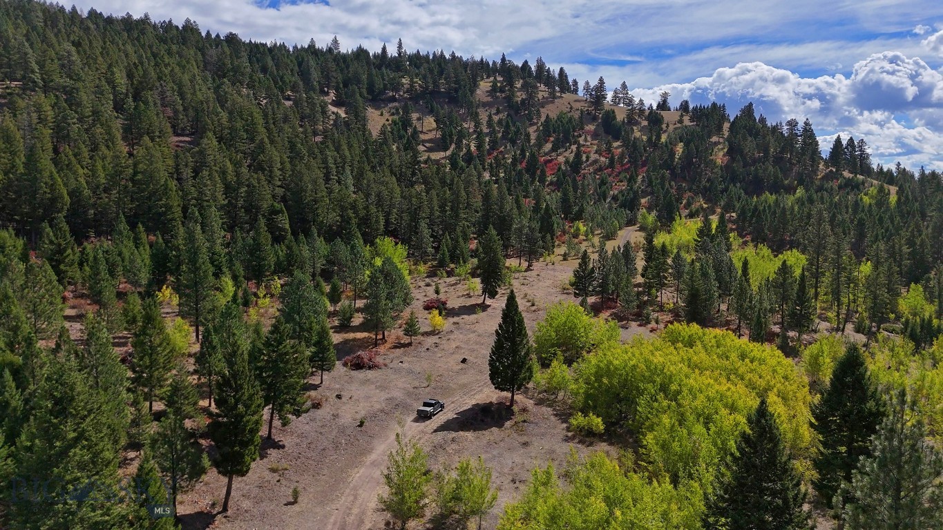 Nhn Bearmouth Ranch Property Photo 53
