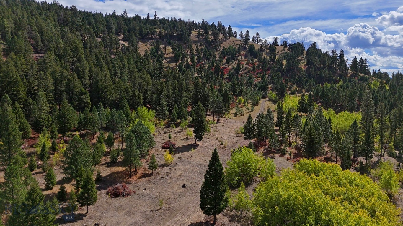 Nhn Bearmouth Ranch Property Photo 54