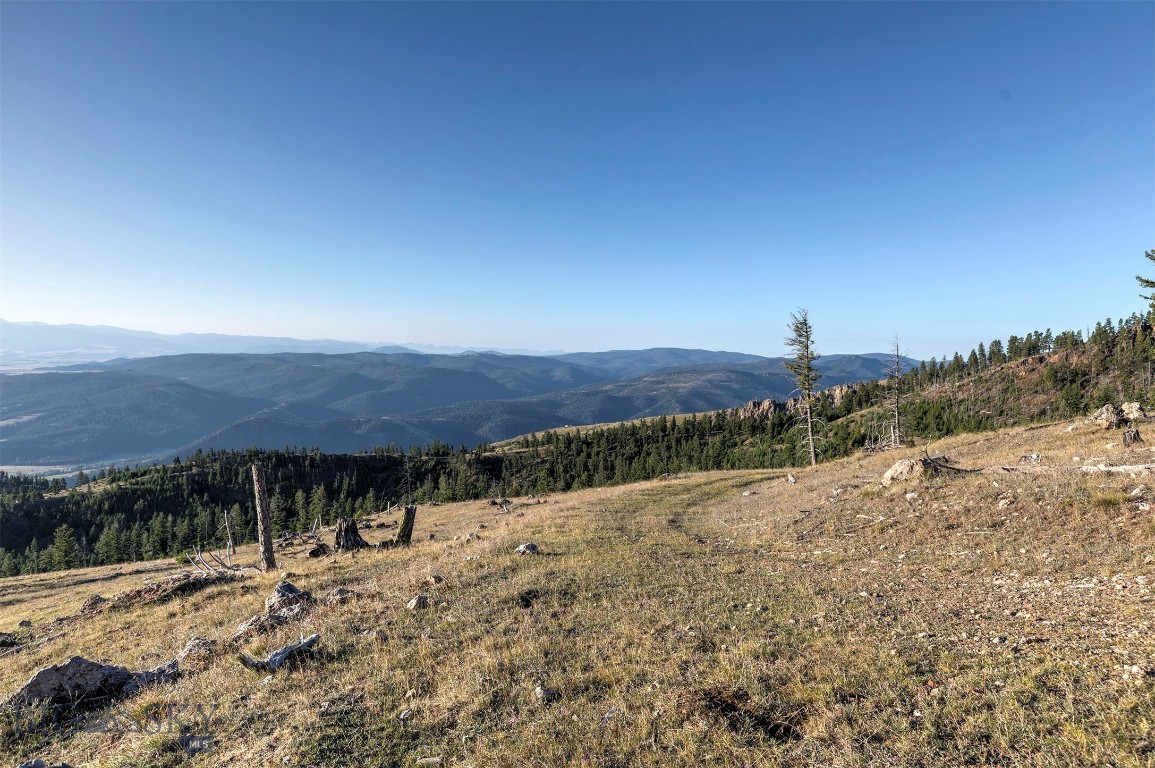 Nhn Bearmouth Ranch Property Photo 9