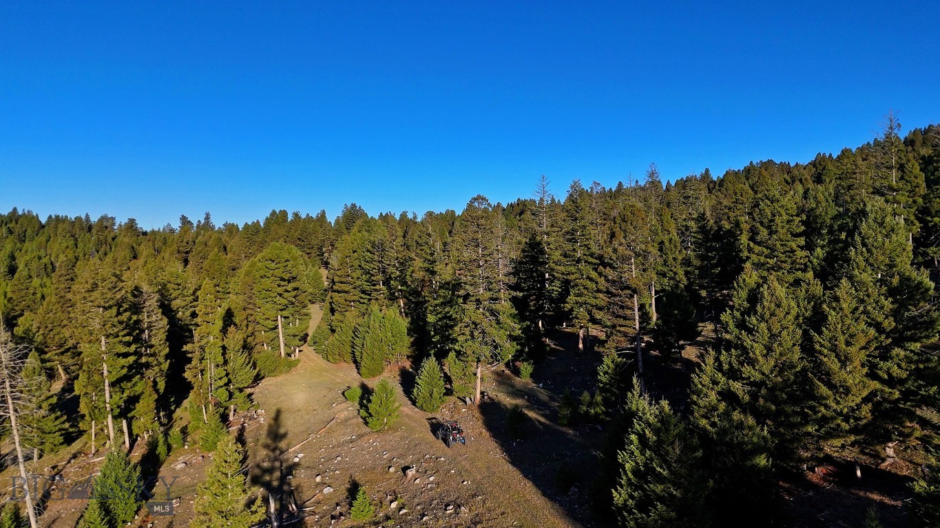 Nhn Bearmouth Ranch Property Photo 14