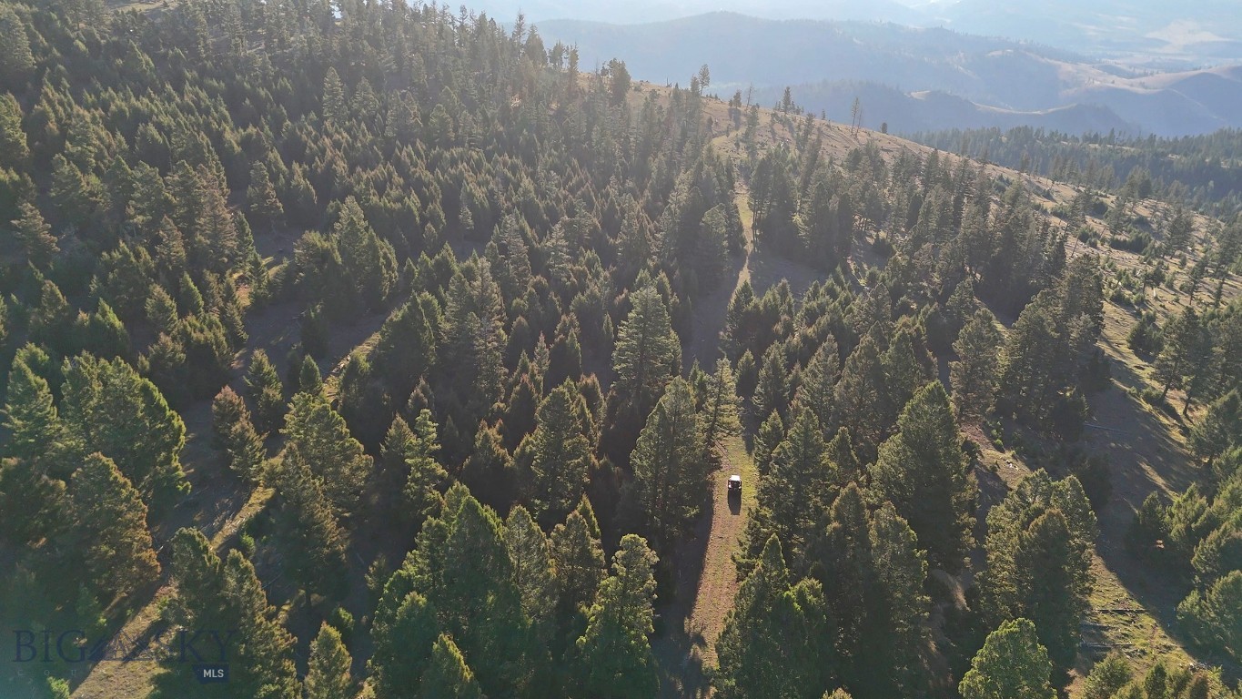 Nhn Bearmouth Ranch Property Photo 16