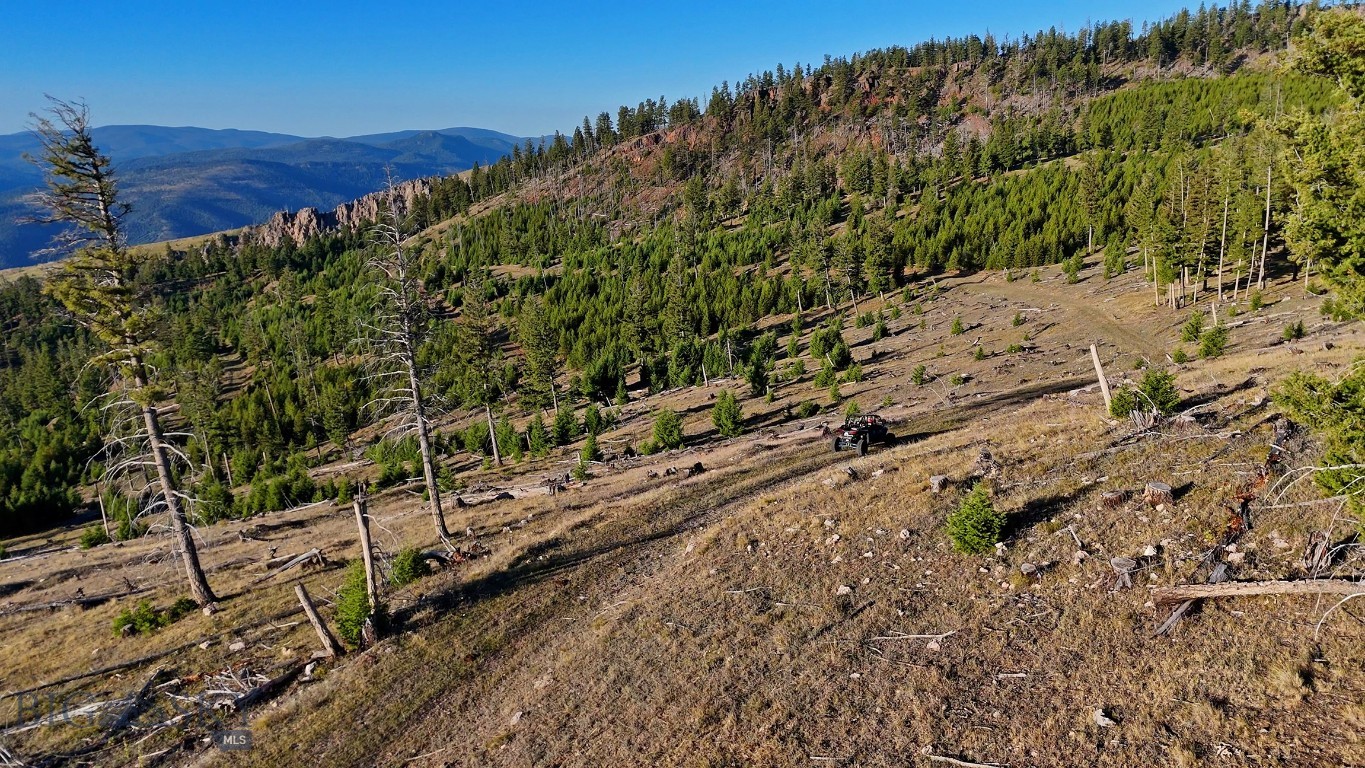 Nhn Bearmouth Ranch Property Photo 18
