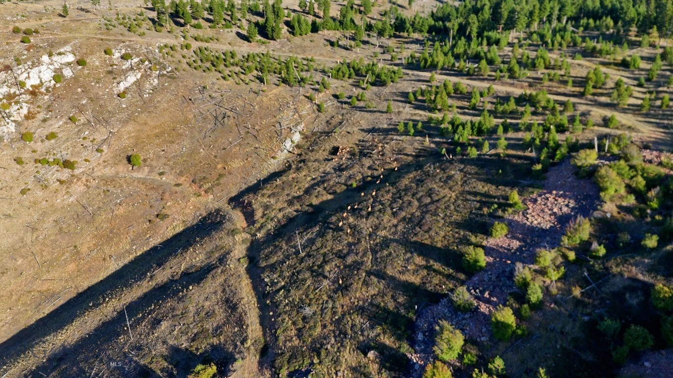 Nhn Bearmouth Ranch Property Photo 27