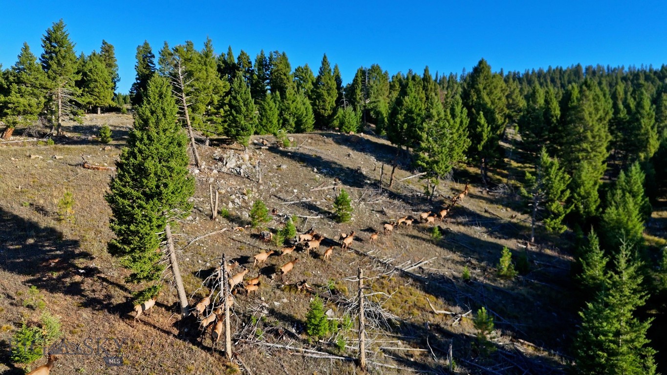 Nhn Bearmouth Ranch Property Photo 32