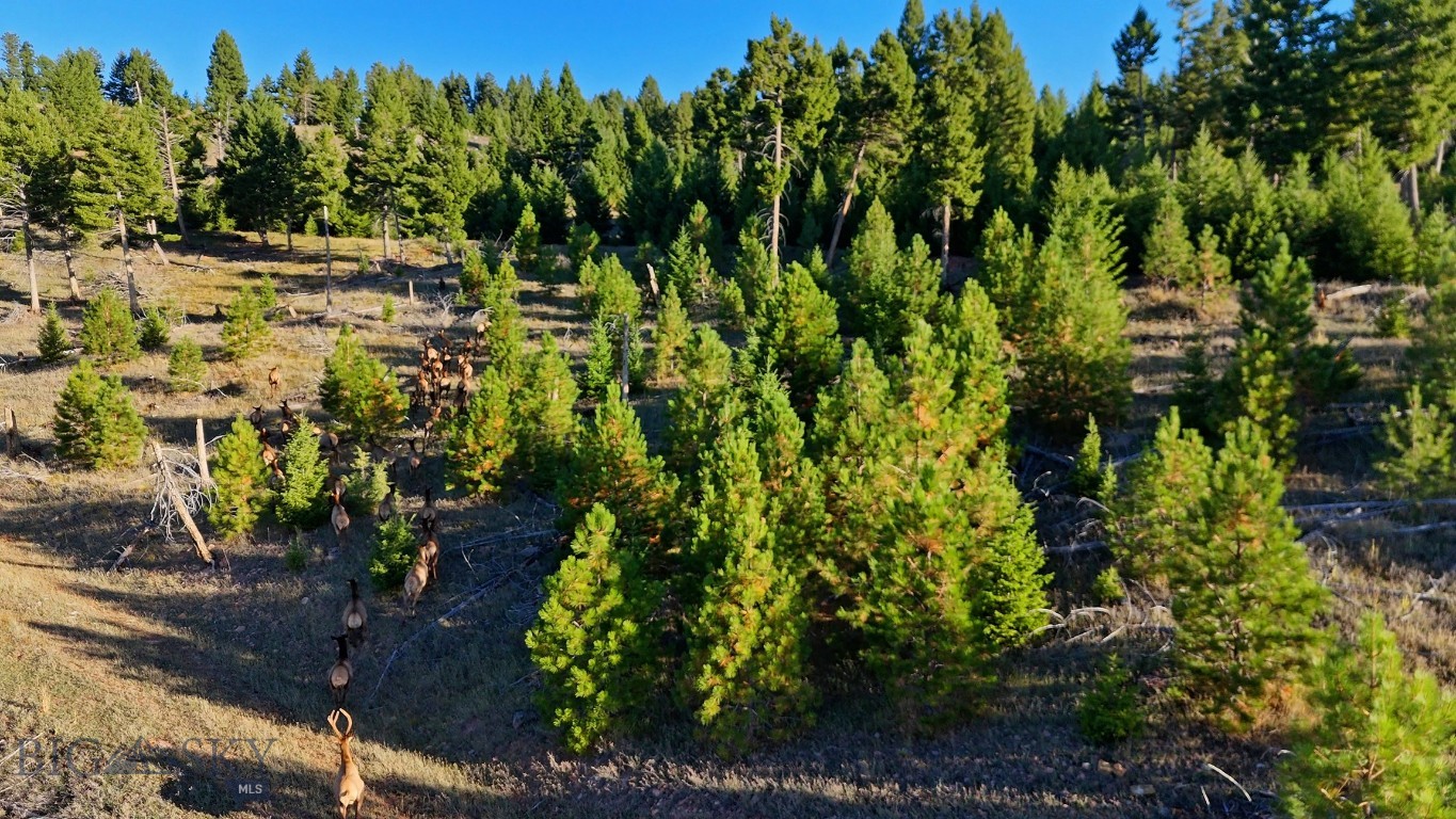 Nhn Bearmouth Ranch Property Photo 33