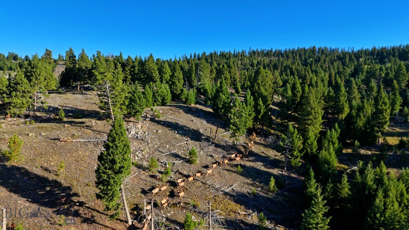 Nhn Bearmouth Ranch Property Photo 4