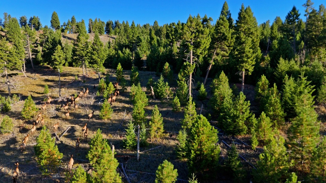 Nhn Bearmouth Ranch Property Photo 8
