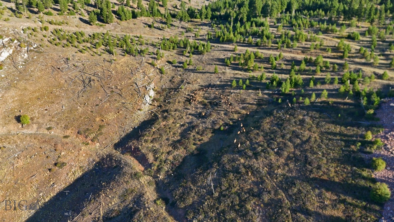 Nhn Bearmouth Ranch Property Photo 10