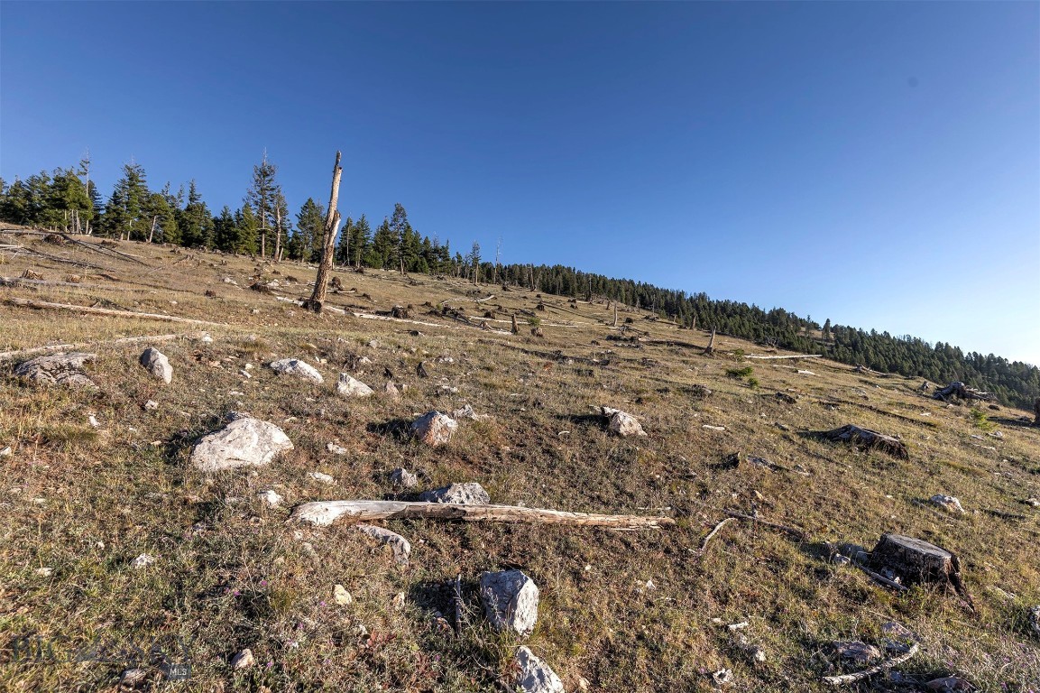 Nhn Bearmouth Ranch Property Photo 29