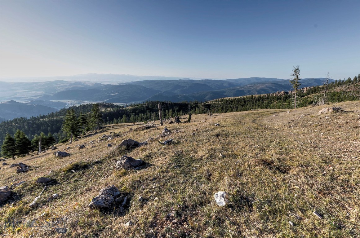Nhn Bearmouth Ranch Property Photo 31