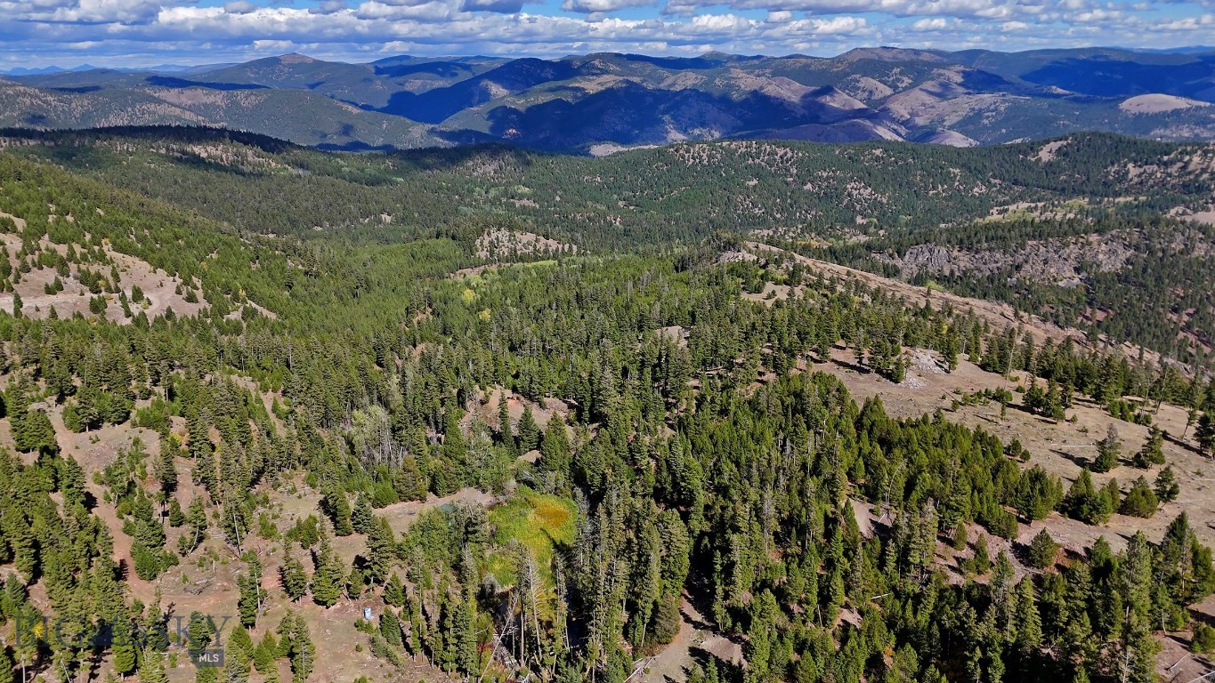 Nhn Bearmouth Ranch Property Photo 49